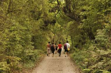 Paseos por las yungas