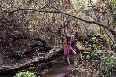 Paseos por las yungas