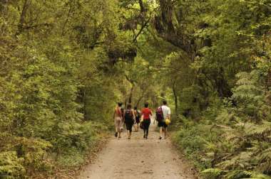 Paseos por las yungas