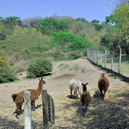 Reserva Orco Molle, Tucumán